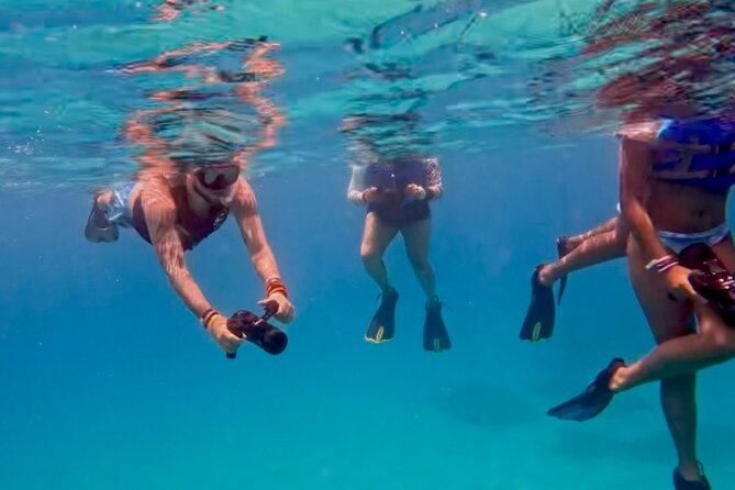 Jet Snorkeling in Turtle, Dolphin and Monk Seal Bay - Additional Information