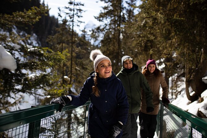 Johnston Canyon Frozen Waterfalls & Banff Backroads Wildlife Tour - Meeting and Pickup