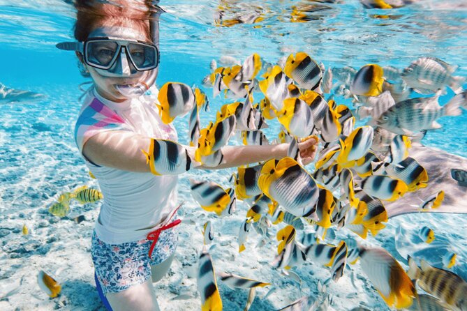 Join Group Tour Nha Trang Snorkeling Included Lunch Onboard - Snorkeling Locations