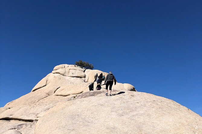 Joshua Tree National Park Driving Tour - Convenience and Communication