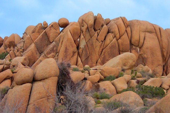 Joshua Tree National Park Scenic Tour - Tour Overview and Highlights