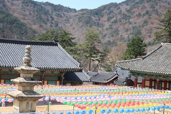 Junam Wetlands and Haeinsa Temple Tour - Exploring Junam Wetlands Park