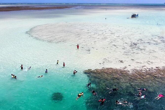 Kaneohe Sandbar Snorkeling Tour / 1st Tour - Additional Information