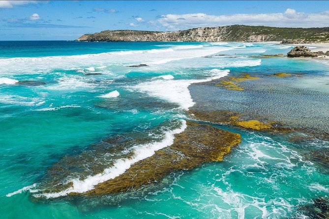Kangaroo Island Shore Excursion Tasting Tour - For Cruise Ship Passengers Only - Cancellation Policy