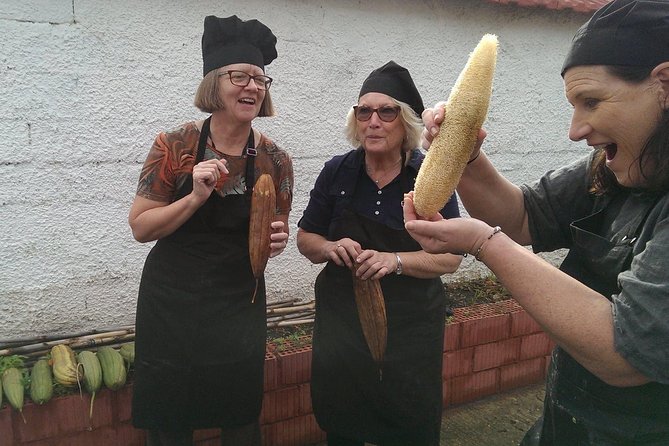 Katakolon Shore Excursion: Private Greek Cooking Class - Inclusions