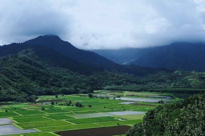 Kauai North Shore Private Guided Tour With Hotel or Port Pick-Up - Sacred Hindu Monastery Visit