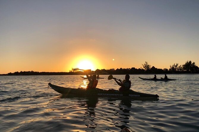 Kayak Mangroves Sunrise Experience - Cancellation and Refund Policy