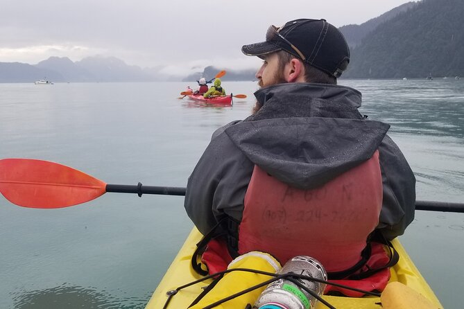 Kayak Paddle on Resurrection Bay - What To Expect