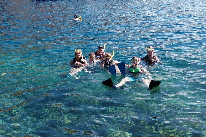 Kayak Snorkel Capt. Cook Monu. See Dolphins in Kealakekua Bay, Big Island (5 Hr) - Tour Details and Itinerary