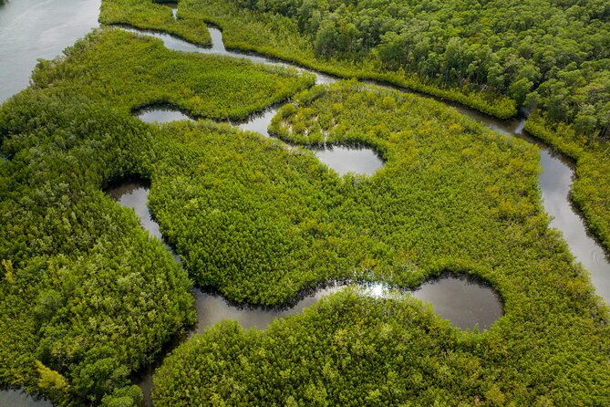Kayak Tour in North Miami Beach - Mangrove Tunnels - Meeting and Pickup Details