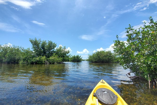 Kayak Tour of Mangrove Maze From Key West - Select Date and Travelers