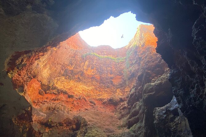 Kayak Tours With Amazing Caves, Sea Life and Marine Biologist . - Meeting and Pickup