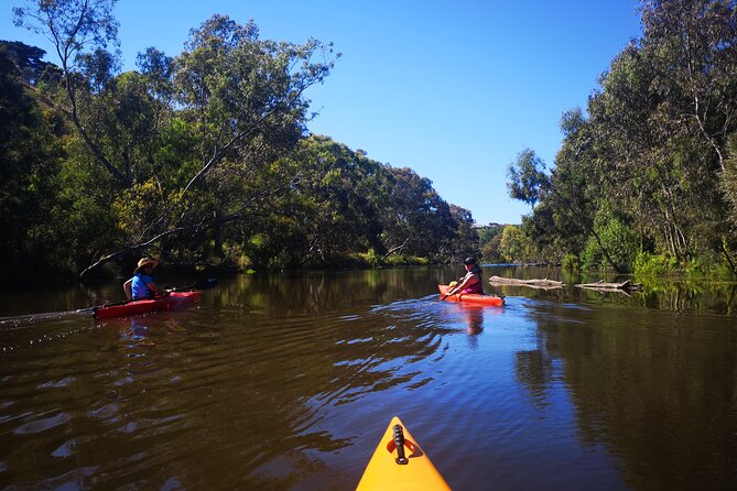 Kayaking in Geelong Victoria - Expectations and Requirements