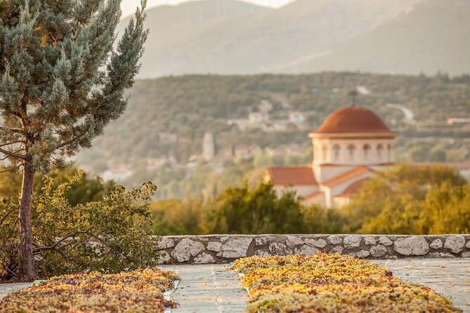 Kefalonia Private Wine Tour - Pricing and Additional Information