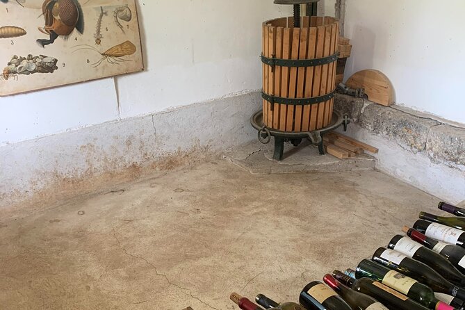 Kefalonia Wine Tour on Fatbikes (e-bikes) - Unforgettable Wine Tasting Experiences in Kefalonia