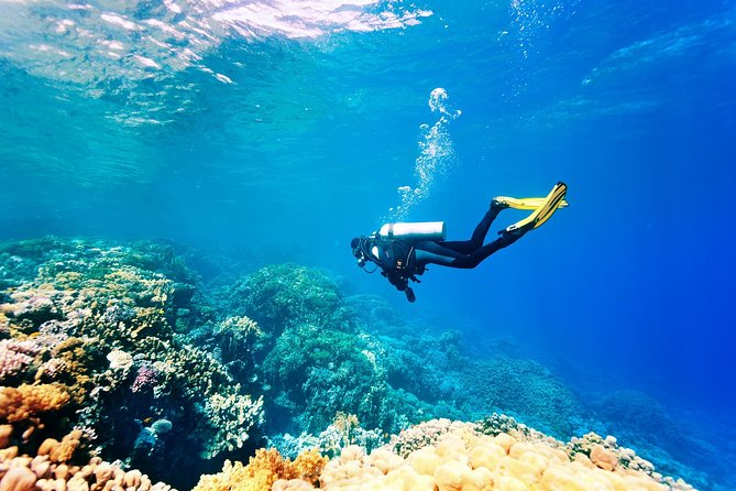 Kemer Scuba Diving Experience - Explore Vibrant Corals and Secret Caves
