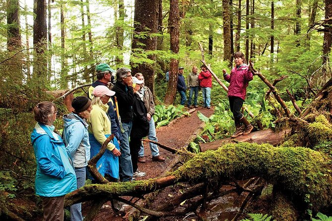 Ketchikan Rainforest Canoe and Nature Walk - Traveler Photos and Reviews