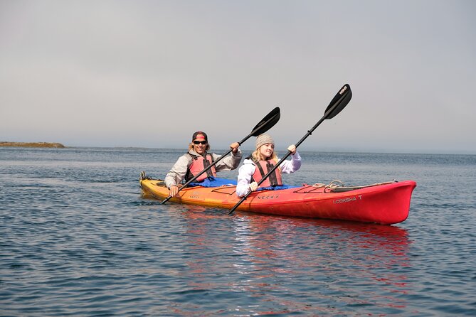 Ketchikan Shore Excursion: Eagle Island Sea Kayaking - Spotting Wildlife in the Tongass National Forest