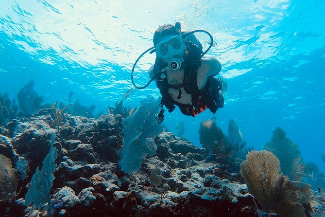 Key Largo Half-Day Snorkeling Tour - Additional Information