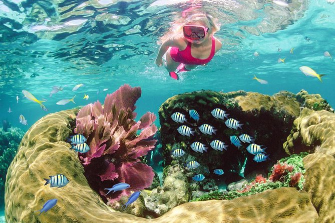 Key Largo Snorkeling Tour - Rental Mask, Fins and Vest INCLUDED - Inclusions and Meeting Details