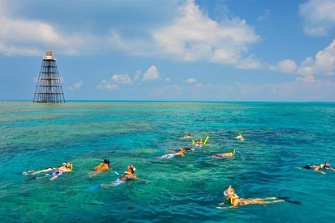 Key West Florida Reef Half-Day Snorkeling Excursion - Details of the Excursion