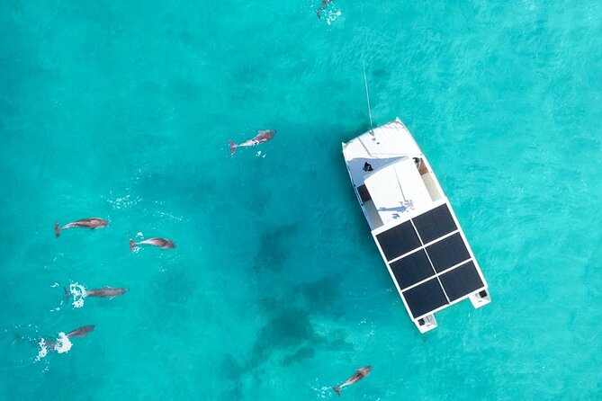 Key West Small Group Dolphin Viewing & Snorkeling Tour - Inclusions