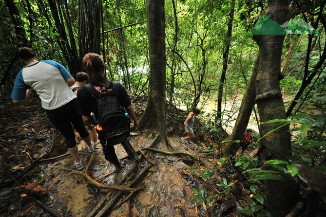 Khao Sok National Park Hiking and Canoeing Day Tour From Khao Lak - Itinerary