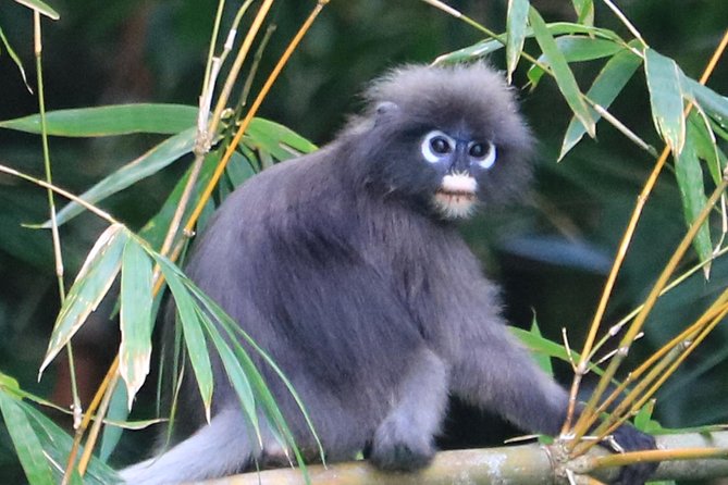 Khao Sok Wildlife 2 Days - Cancellation Policy and Weather