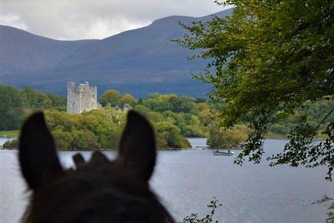 Killarney National Park Horseback Ride. Co Kerry. Guided. 3 Hours. - What to Expect