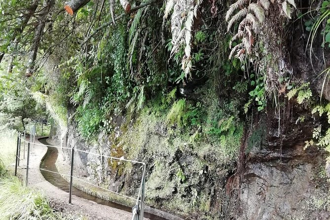 Kings Levada - São Jorge - Traveler Photos of Kings Levada