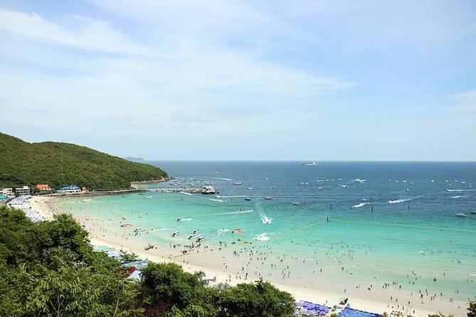 Koh Larn Trip From Pattaya Including Seafood Lunch - Unsuitability for Certain Individuals