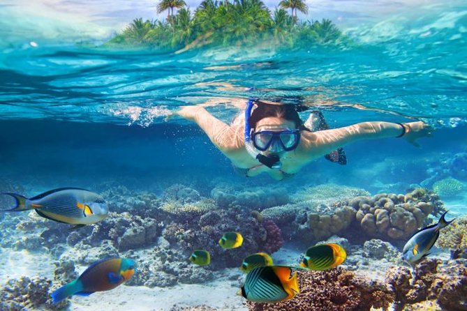 Koh Samui Snorkeling and Kayaking - Exploring Koh Tans Marine Life