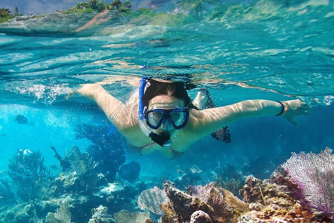 Koh Tao & Koh Nangyuan Snorkeling Tour by Speedboat From Ko Samui - Additional Information
