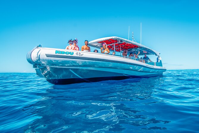 Kona: 3 Hour Dolphin Watch, Double Snorkel, & BBQ Lunch - Experience and Policies