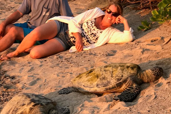 Kona Shore Excursion: Hawaiian Sea Turtles , Historic Kona & Coffee - Additional Information