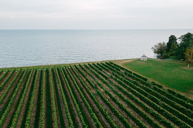 Konzelmann Winery 30-Minute Small-Group Wine Tasting  - Niagara Falls & Around - Logistics and Accessibility Details