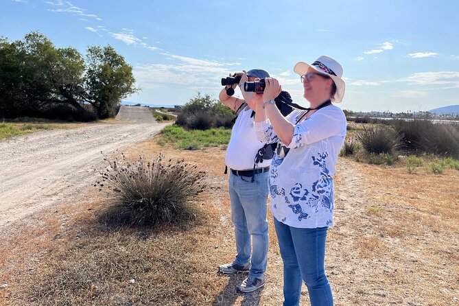 Kos Wildlife Walks: Birdwatching and Animal Photography - Overview and Experience
