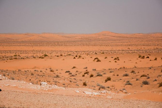 Ksar Ghilane 1 Day: the Hot Spring and the Homestay - Meeting and Pickup