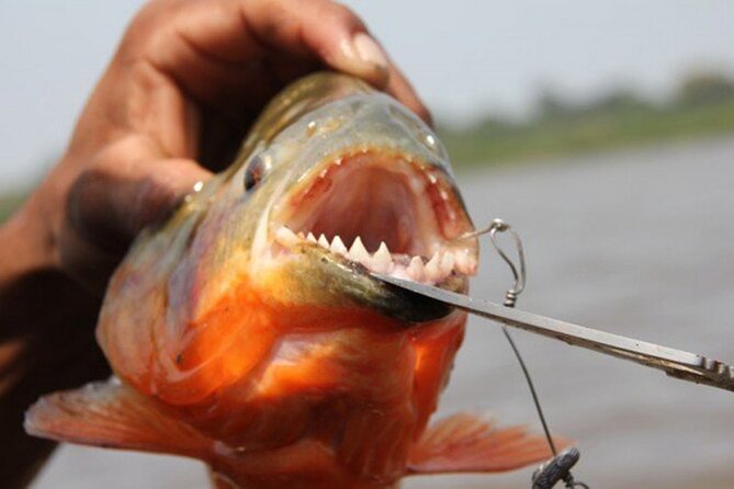 Kukamas Tribe, Butterfly Preserve & Sport Piranha Fishing - All Tickets Included - Reviews