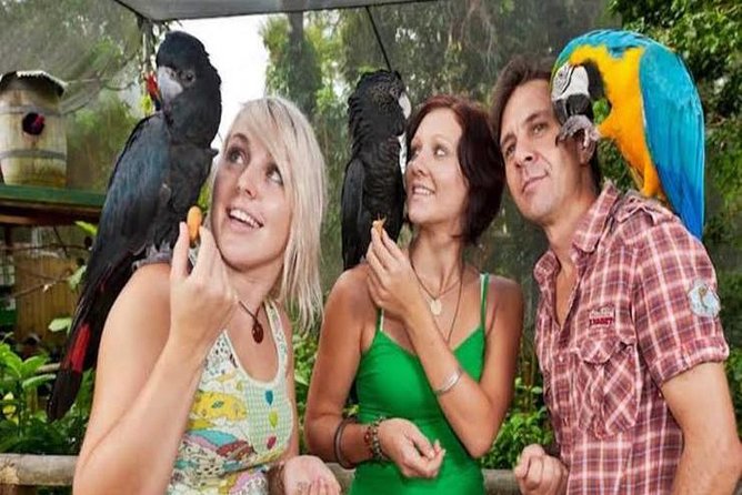 Kuranda Day Tour, TKS-3 Wildlife Gold 930 - Meeting and Pickup