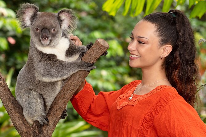 Kuranda Wildlife Experience Deluxe Multi Attraction Pass - Weather and Refunds