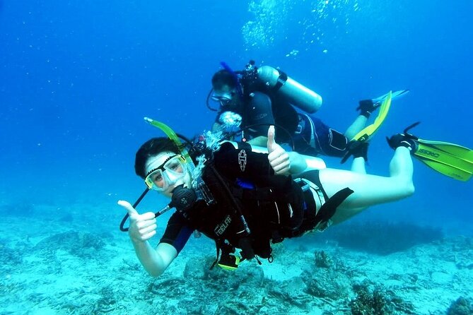 Kusadasi Beginners Discover Scuba Dive W/Transfers & Lunch - Full Instruction and Necessary Equipment Provided