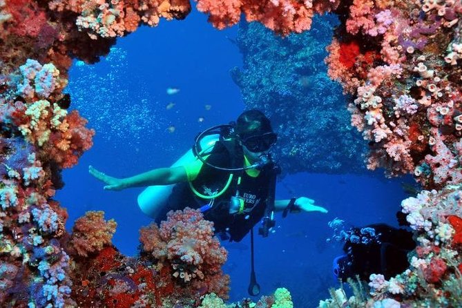 Kusadasi/Selcuk Scuba Diving Adventure With Lunch & Transfer - Additional Details and Fees