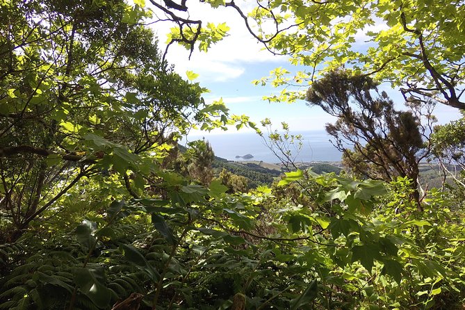 Lagoa Do Fogo Walking Tour With Lunch From Ponta Delgada - Cancellation Policy and Weather Contingencies
