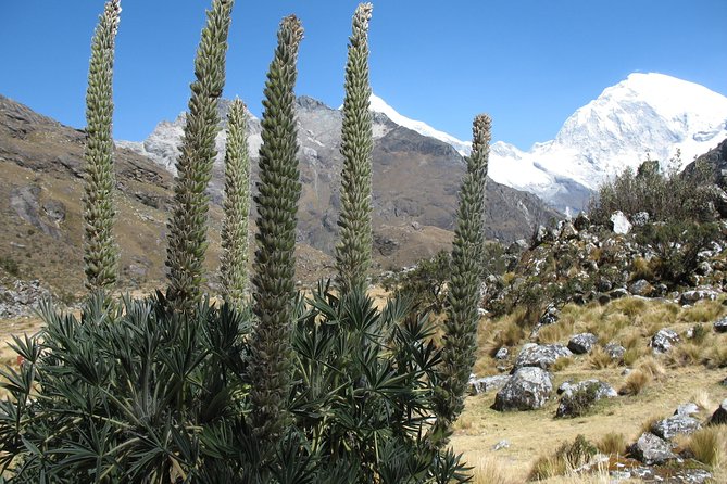 Lake 69 Full-Day Hiking Tour From Huaraz - Important Information and Tips