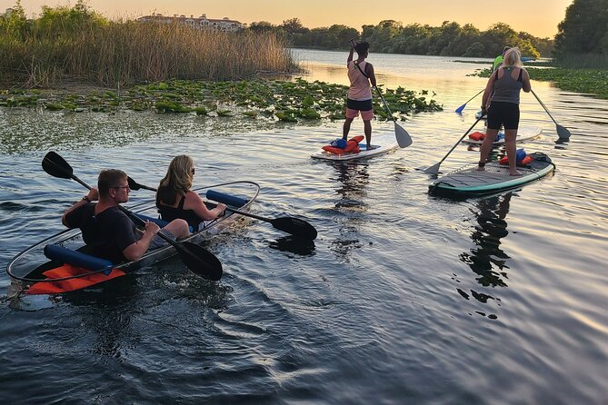 Lake Ivanhoe Guided Paddleboard or Kayak Tour in Orlando - Meeting and Pickup