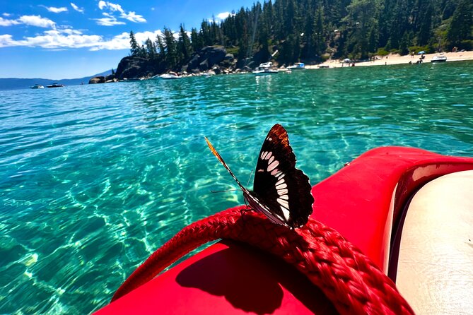 Lake Tahoe Private Boat Charter With Captain - End Point and Cancellation Policy