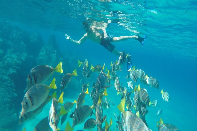 Lands End & Snorkel Tour in a Glass Bottom Boat (VisitA Cabo) - Boarding the Glass Bottom Boat