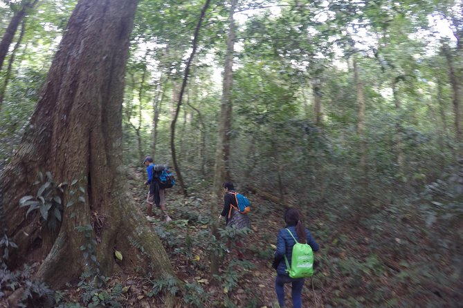 Langbiang Mountain: Guided Cycling & Hiking Tour From Da Lat  - My Son - Common Questions