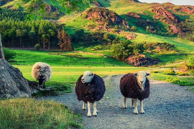Langdale Valley - Half Day - Up to 8 People - Half Day Itinerary